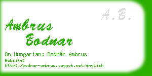 ambrus bodnar business card